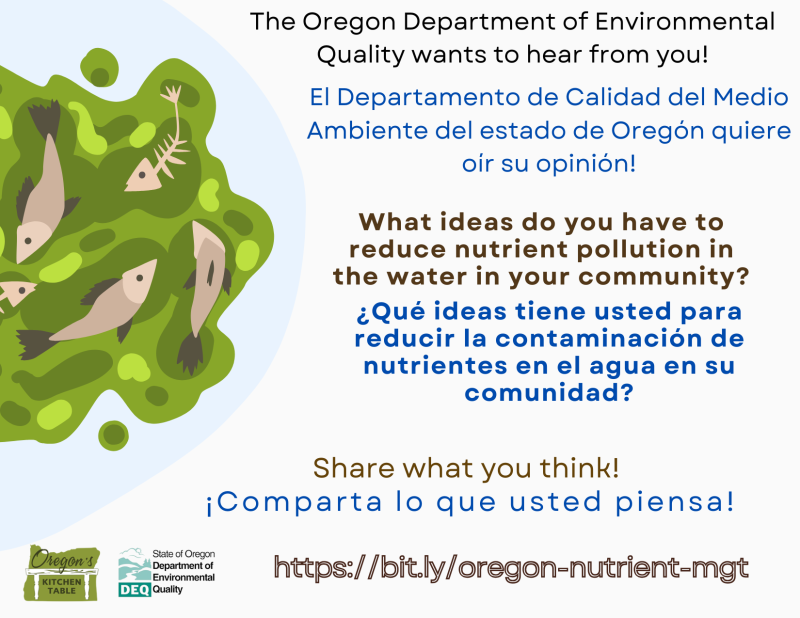 The image shows brown sick and dying fish in greenish blotchy water. The text reads "The Oregon Department of Environmental Quality wants to hear from you! What ideas do you have to reduce nutrient pollution in the water in your community? Share what you think! https://bit.ly/oregon-nutrient-mgt" at the bottom. The Oregon Dept of Environmental Quality logo and Oregon's Kitchen Table logos are in the lower left.