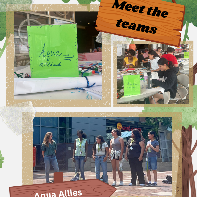 Collage of images of the Aqua Allies team. Top-left image is the Aqua Allies sign, top-right is the Aqua Allies sitting around a table together, bottom is a group photo of Aqua Allies doing a group cheer.