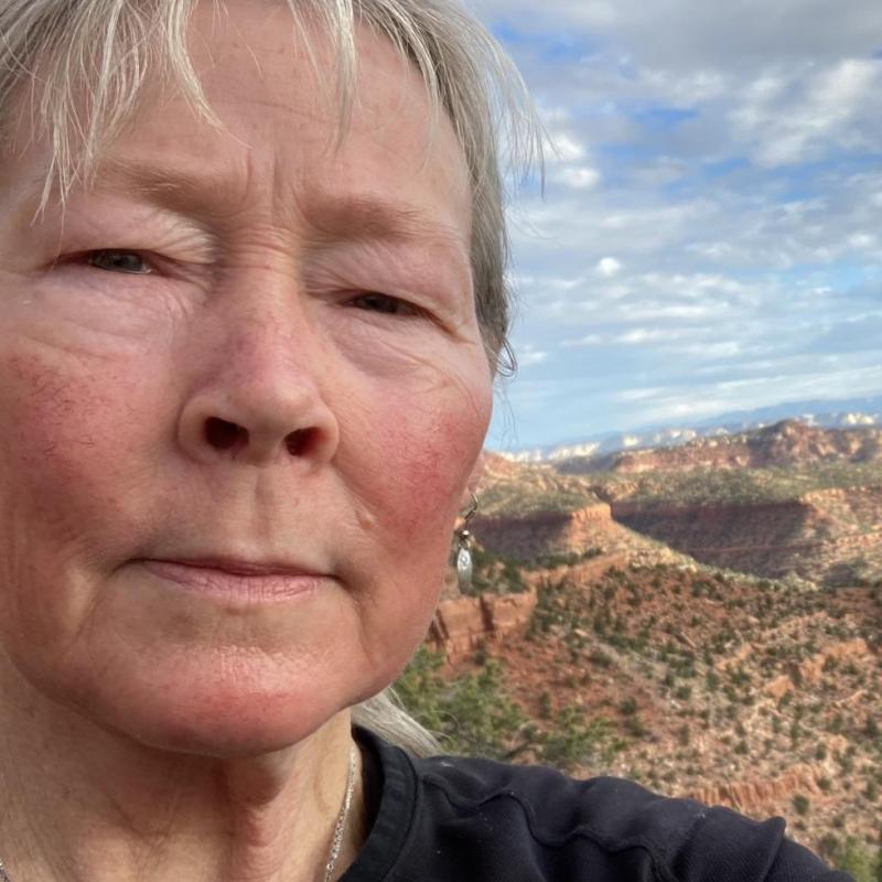 Image shows a person looking into the camera with a blue sky and clouds and desert landscape behind them.