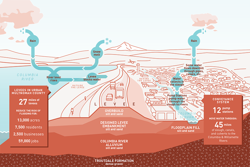 Illustration of levees and flood-management systems in Multnomah County, showing layers and components.