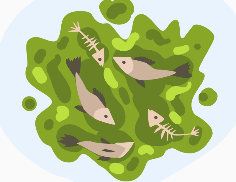 Image shows an illustration of blobs in different shapes and shades of green. Illustrations of brown fish and fish skeletons are swimming in the blobs.